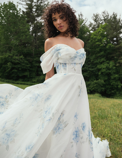 Jenny Yoo  Hazel Arden Wedding Dress