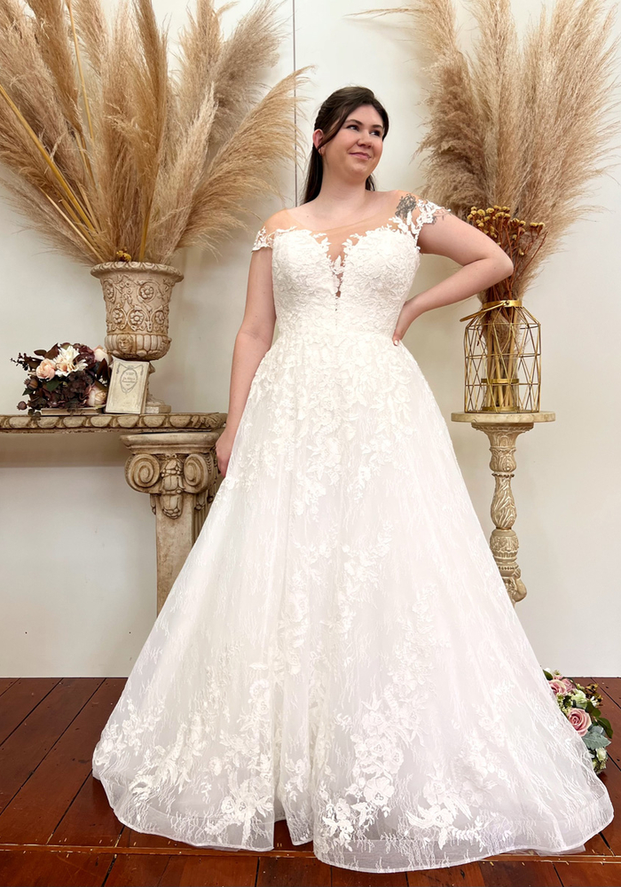 Forget Me Knot Nikau