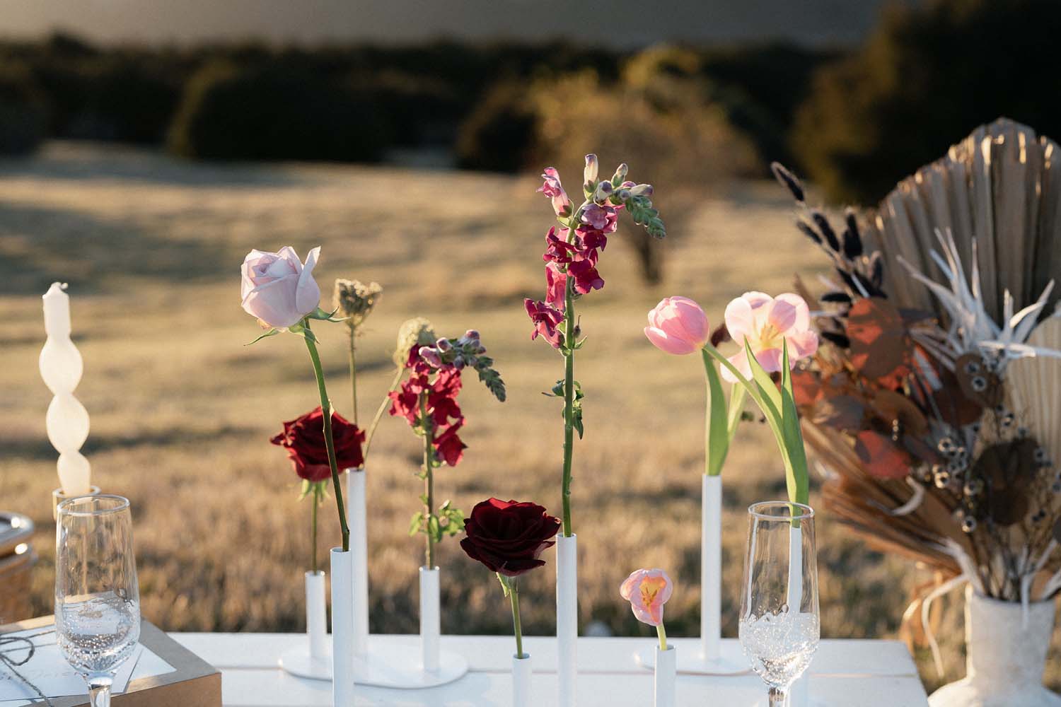 Intimate Elopement Wedding at Glendhu Bay