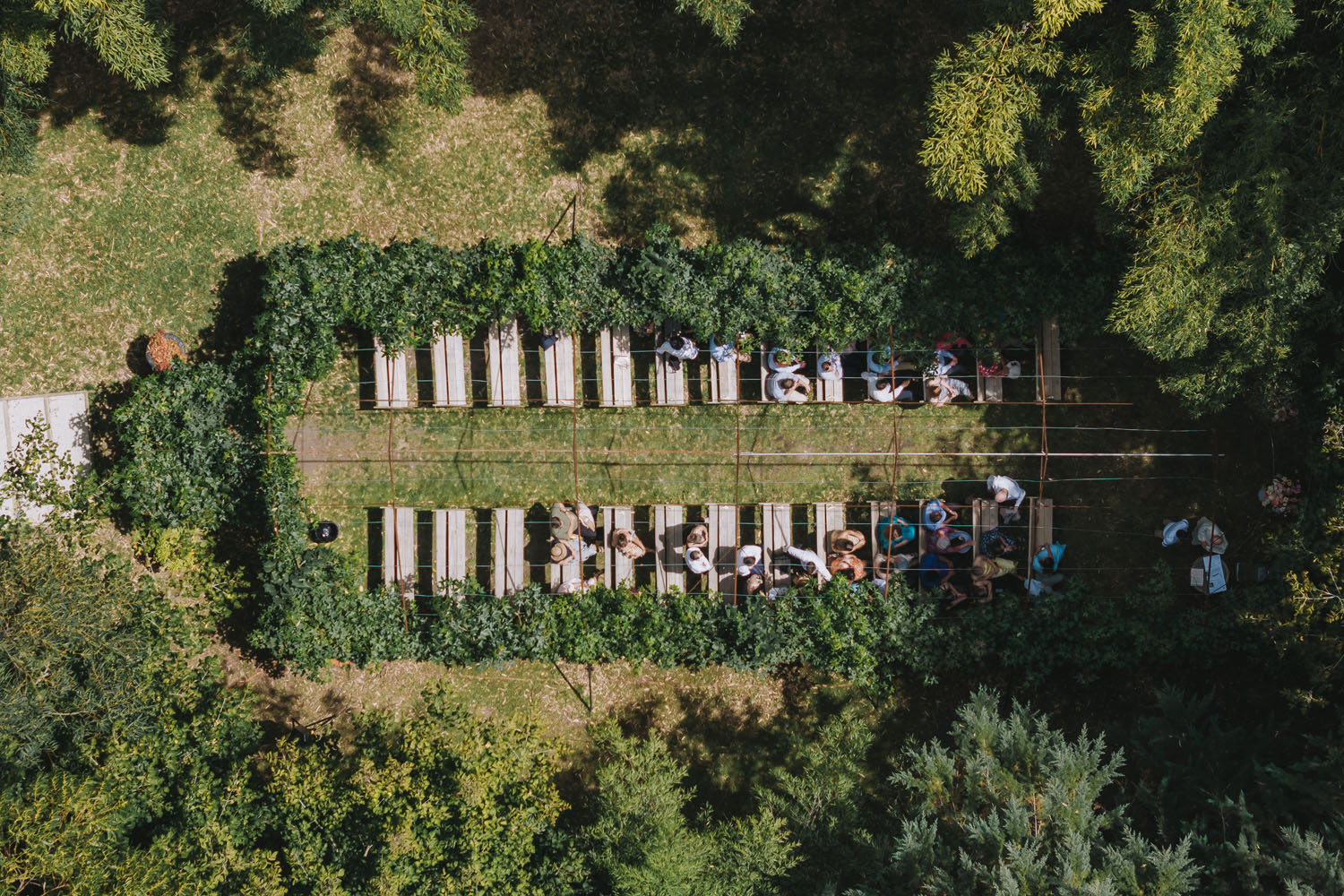 Charming Garden Wedding at the Black Walnut