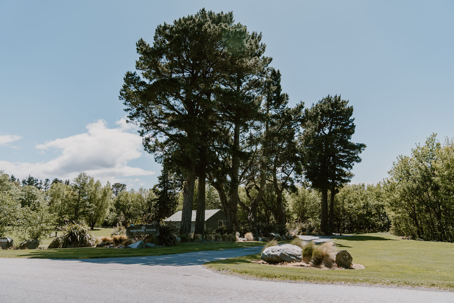 A Scenic Estate Wedding at Montrose Estate